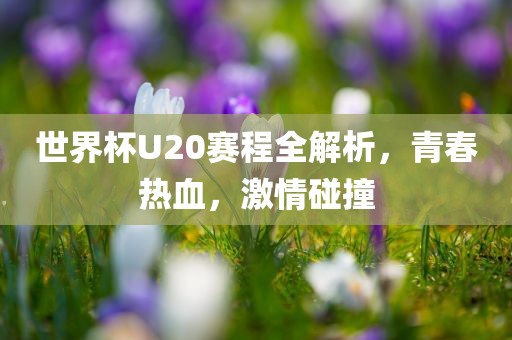 世界杯U20赛程全解析，青春热血，激情碰撞