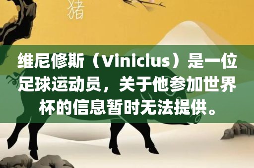 维尼修斯（Vinicius）是一位足球运动员，关于他参加世界杯的信息暂时无法提供。眉山市正发家政服务有限公司
