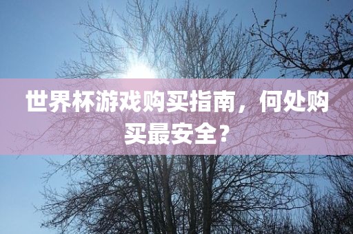 世界杯游戏购买指南，何处购买最安全？