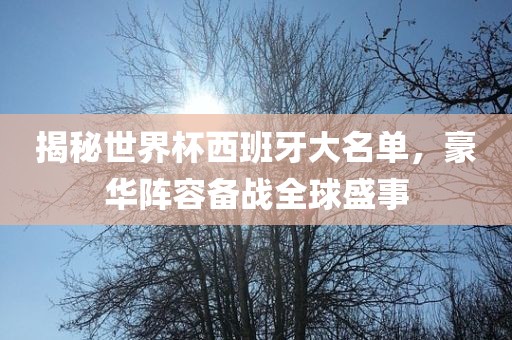 揭秘世界杯西班牙大名单，豪华阵容备战全球盛事