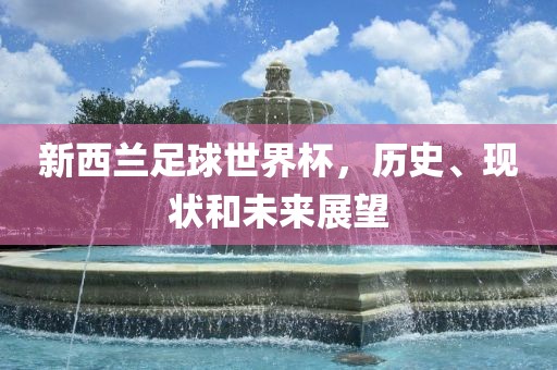 新西兰足球世界杯，历史、现状和未来展望眉山市正发家政服务有限公司