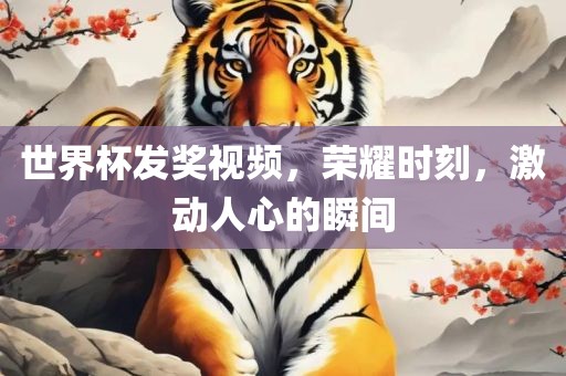 世界杯发奖视频，荣耀时刻，激动人心的瞬间眉山市正发家政服务有限公司