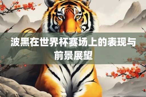 波黑在世界杯赛场上的表现与前景展望眉山市正发家政服务有限公司