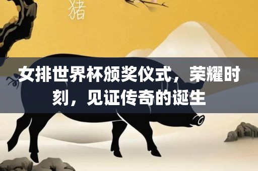 女排世界杯颁奖仪式，荣耀时刻，见证传奇的诞生