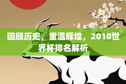 回顾历史，重温辉煌，2010世界杯排名解析