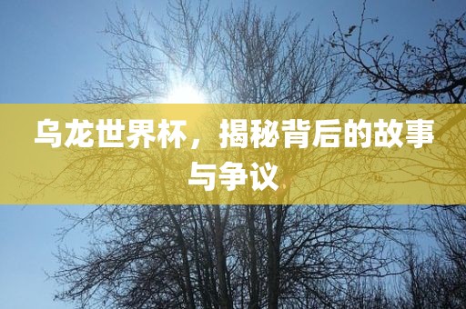 乌龙世界杯，揭秘背后的故事与争议眉山市正发家政服务有限公司