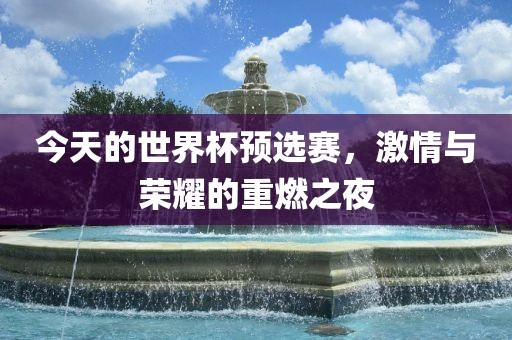 今天的世界杯预选赛，激情与荣耀的重燃之夜眉山市正发家政服务有限公司