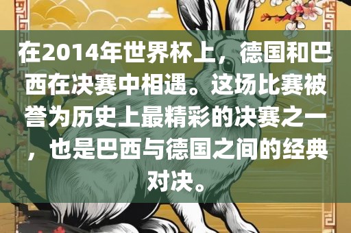 在2014年世界杯上，德国和巴西在决赛中相遇。这场比赛被誉为历史上最精彩的决赛之一，也是巴西与德国之间的经典对决。眉山市正发家政服务有限公司