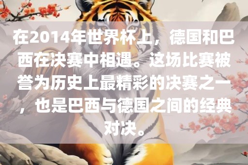 在2014年世界杯上，德国和巴西在决赛中相遇。这场比赛被誉为历史上最精彩的决赛之一，也是巴西与德国之间的经典对决。眉山市正发家政服务有限公司