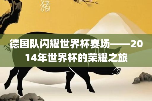 德国队闪耀世界杯赛场——2014年世界杯的荣耀之旅眉山市正发家政服务有限公司