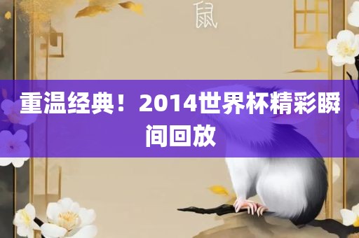 重温经典！2014世界杯精彩瞬间回放