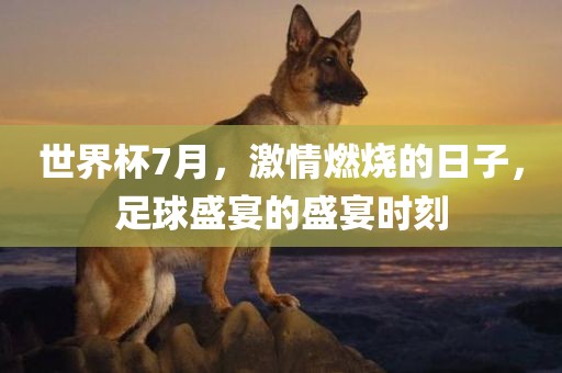 世界杯7月，激情燃烧的日子，足球盛宴的盛宴时刻眉山市正发家政服务有限公司