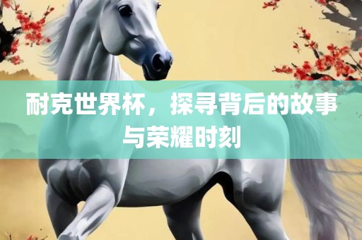 耐克世界杯，探寻背后的故事与荣耀时刻眉山市正发家政服务有限公司