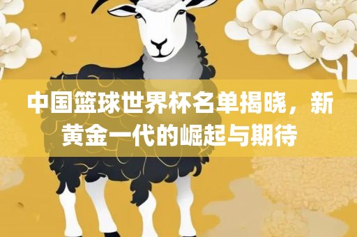 中国篮球世界杯名单揭晓，新黄金一代的崛起与期待