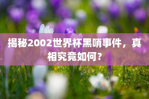 揭秘2002世界杯黑哨事件，真相究竟如何？