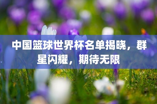 中国篮球世界杯名单揭晓，群星闪耀，期待无限眉山市正发家政服务有限公司