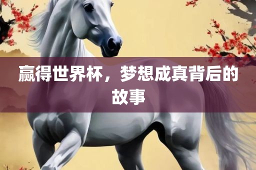 赢得世界杯，梦想成真背后的故事眉山市正发家政服务有限公司