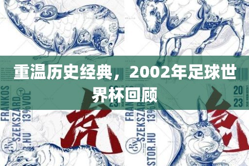 重温历史经典，2002年足球世界杯回顾