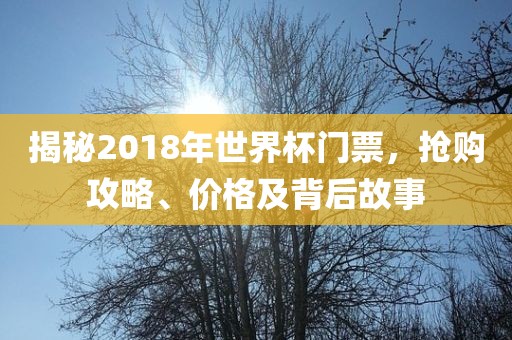 揭秘2018年世界杯门票，抢购攻略、价格及背后故事眉山市正发家政服务有限公司