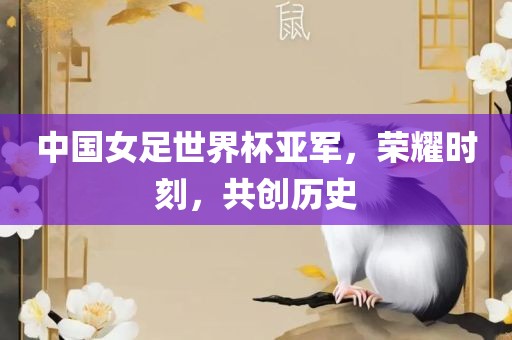 中国女足世界杯亚军，荣耀时刻，共创历史