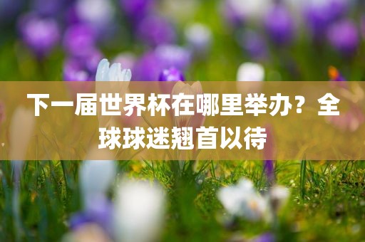 下一届世界杯在哪里举办？全球球迷翘首以待