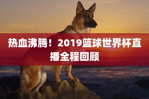 热血沸腾！2019篮球世界杯直播全程回顾