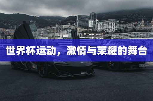 世界杯运动，激情与荣耀的舞台眉山市正发家政服务有限公司