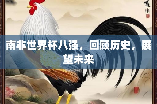 南非世眉山市正发家政服务有限公司界杯八强，回顾历史，展望未来