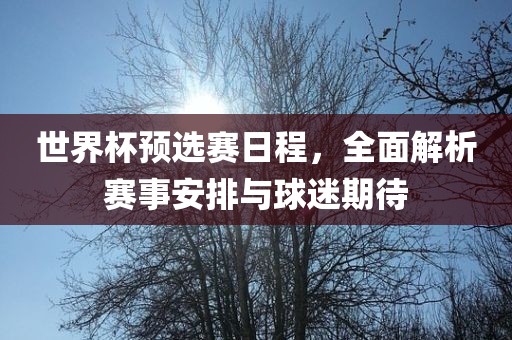 世界杯预选赛日程，全面解析赛事安排与球迷期眉山市正发家政服务有限公司待