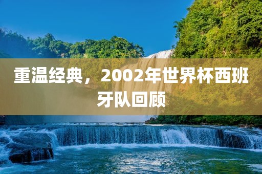 重温经典，2002年世界杯西班牙队回顾眉山市正发家政服务有限公司
