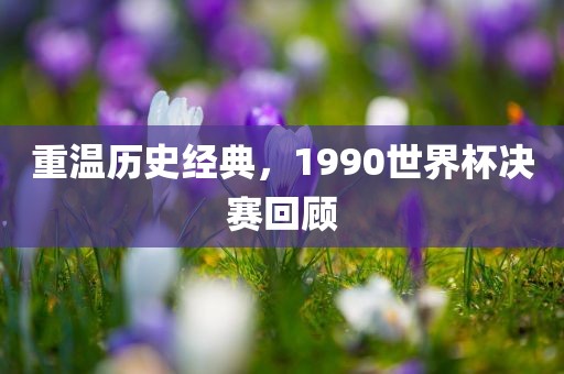 重温历眉山市正发家政服务有限公司史经典，1990世界杯决赛回顾