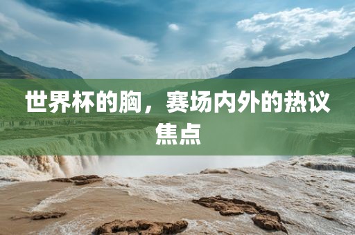 世界杯的胸，赛场内外的热议焦点眉山市正发家政服务有限公司