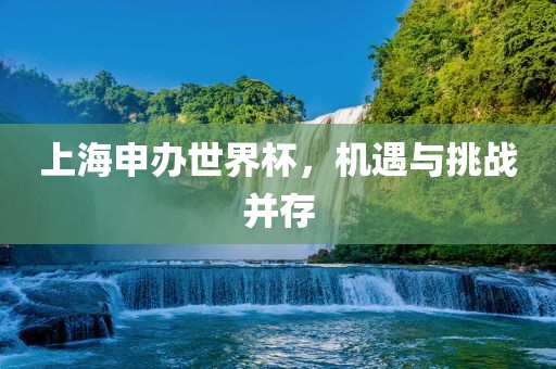 上海申办世界杯，机遇与挑战并存眉山市正发家政服务有限公司