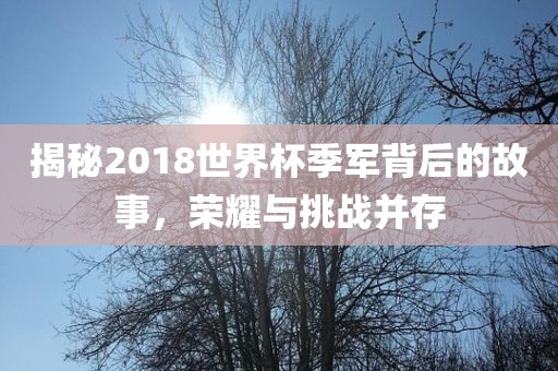 揭秘2018世界杯季军背后的故事，荣耀与挑战并存眉山市正发家政服务有限公司