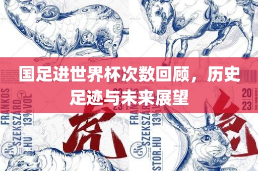 国足进世界杯次数回顾，历史足迹与未来展望眉山市正发家政服务有限公司