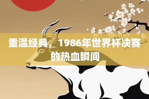 重温经典，1986年世界杯决赛的热血瞬间眉山市正发家政服务有限公司