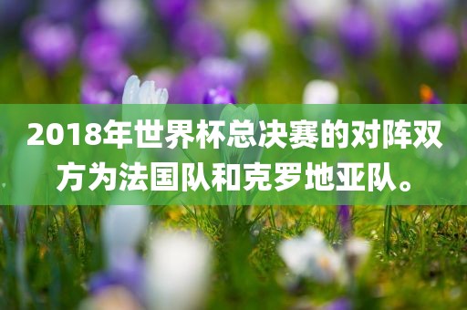 2018年世界杯总决赛的对阵双方为法国队和克罗地亚队。
