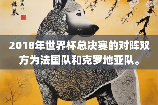 2018年世界杯总决赛的对阵双方为法国队和克罗地亚队。