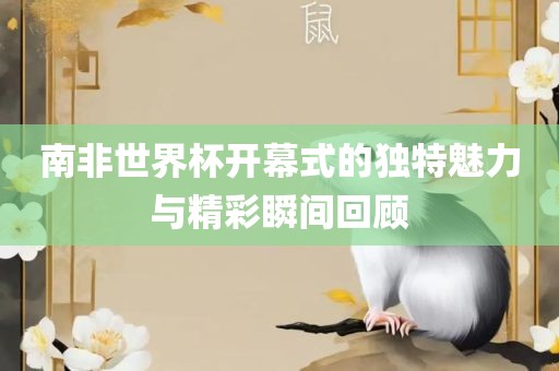 南非世界杯开幕式的独特魅力与精彩瞬间回顾