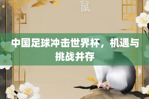 中国足球冲击世界杯，机遇与挑战并存眉山市正发家政服务有限公司