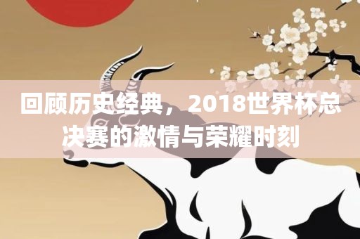 回顾历史经典，2018世界杯总决赛的激情与荣耀时刻眉山市正发家政服务有限公司
