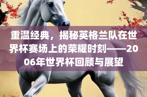 重温经典，揭秘英格兰队在世界杯赛场上的荣耀时刻——2006年世界杯回顾与展望
