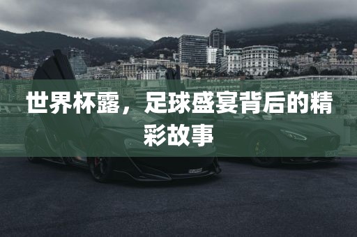 世界杯露，足球盛宴背后的精彩故事眉山市正发家政服务有限公司