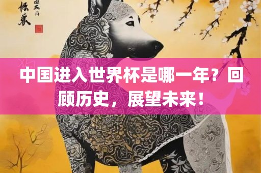 中国进入世界杯是哪一年？回顾历史，展望未来！
