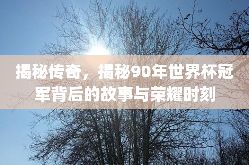 揭秘传奇，揭秘90年世界杯冠军背后的故事与荣耀时刻