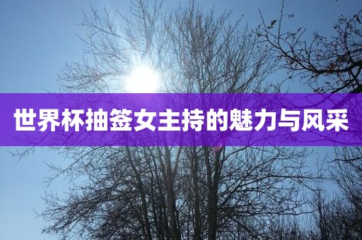 世界杯抽签女主持的魅力与风采