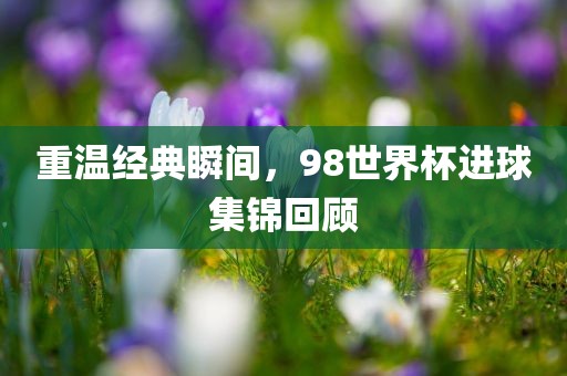重温经典瞬间，98世界杯进球集锦回顾眉山市正发家政服务有限公司