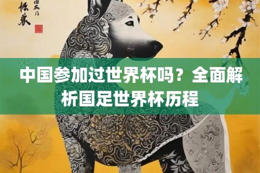 中国参加过世界杯吗？全面解析国足世界杯历程眉山市正发家政服务有限公司