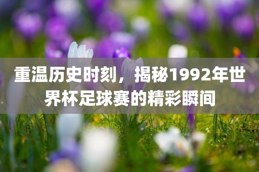 重温历史时刻，揭秘1992年世界杯足球赛的精彩瞬间眉山市正发家政服务有限公司