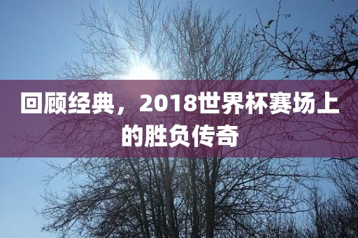 回顾经典，2018世界杯赛场上的眉山市正发家政服务有限公司胜负传奇